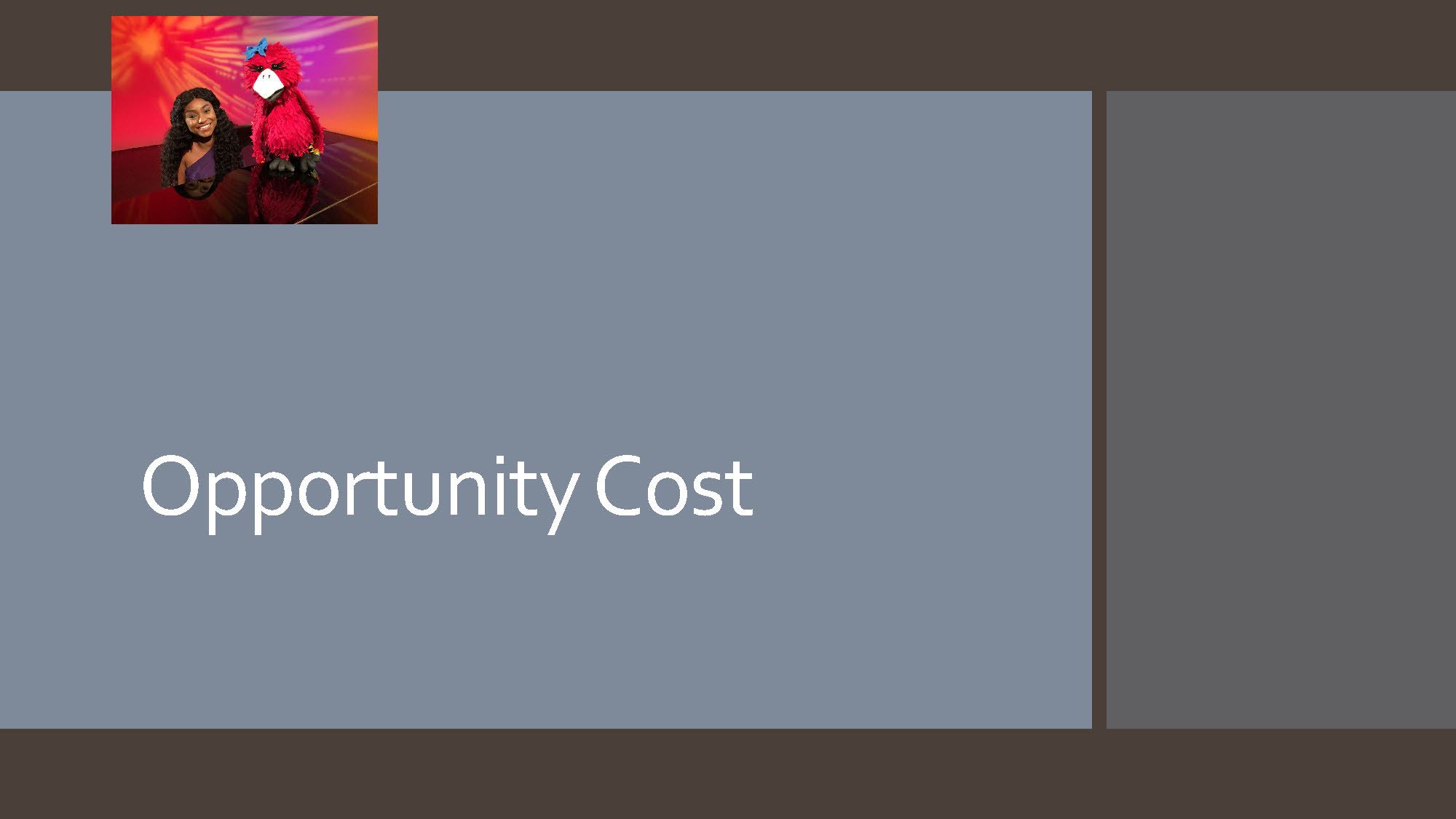 Opportunity Cost Lesson and Assessment 