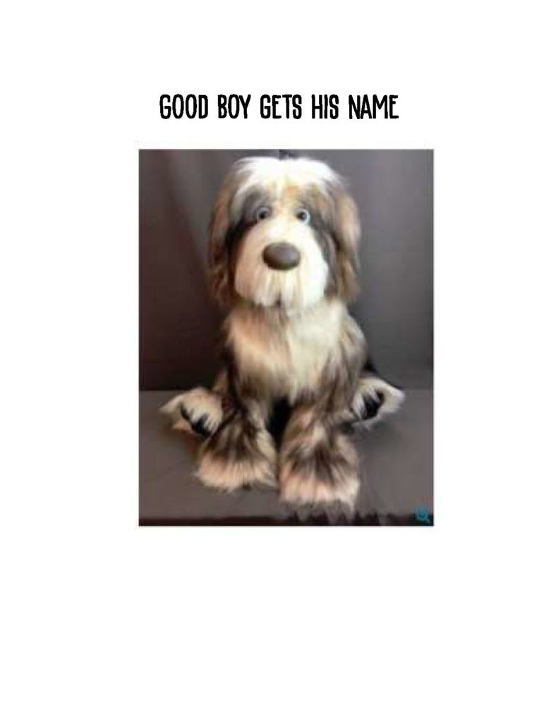 Good Boy Gets His Name_Page_01