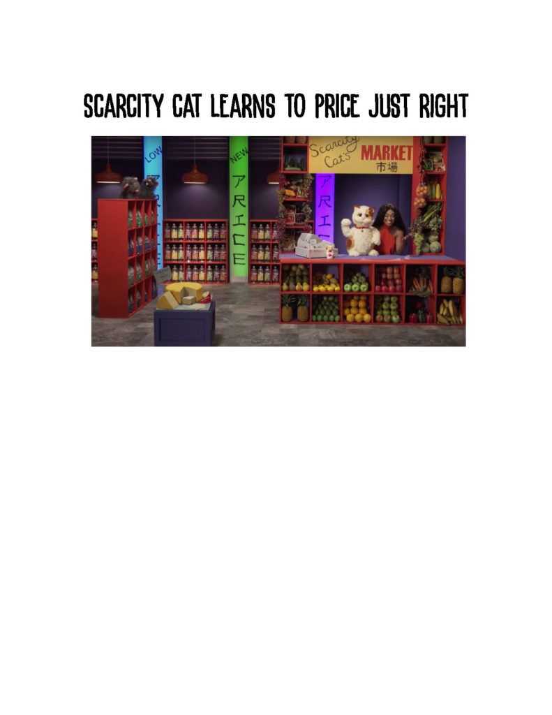 Scarcity Cat All Access Video Lesson_Page_01