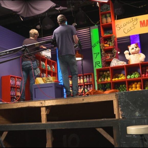 An image showing behind the scenes footage of the scarcity cat video set